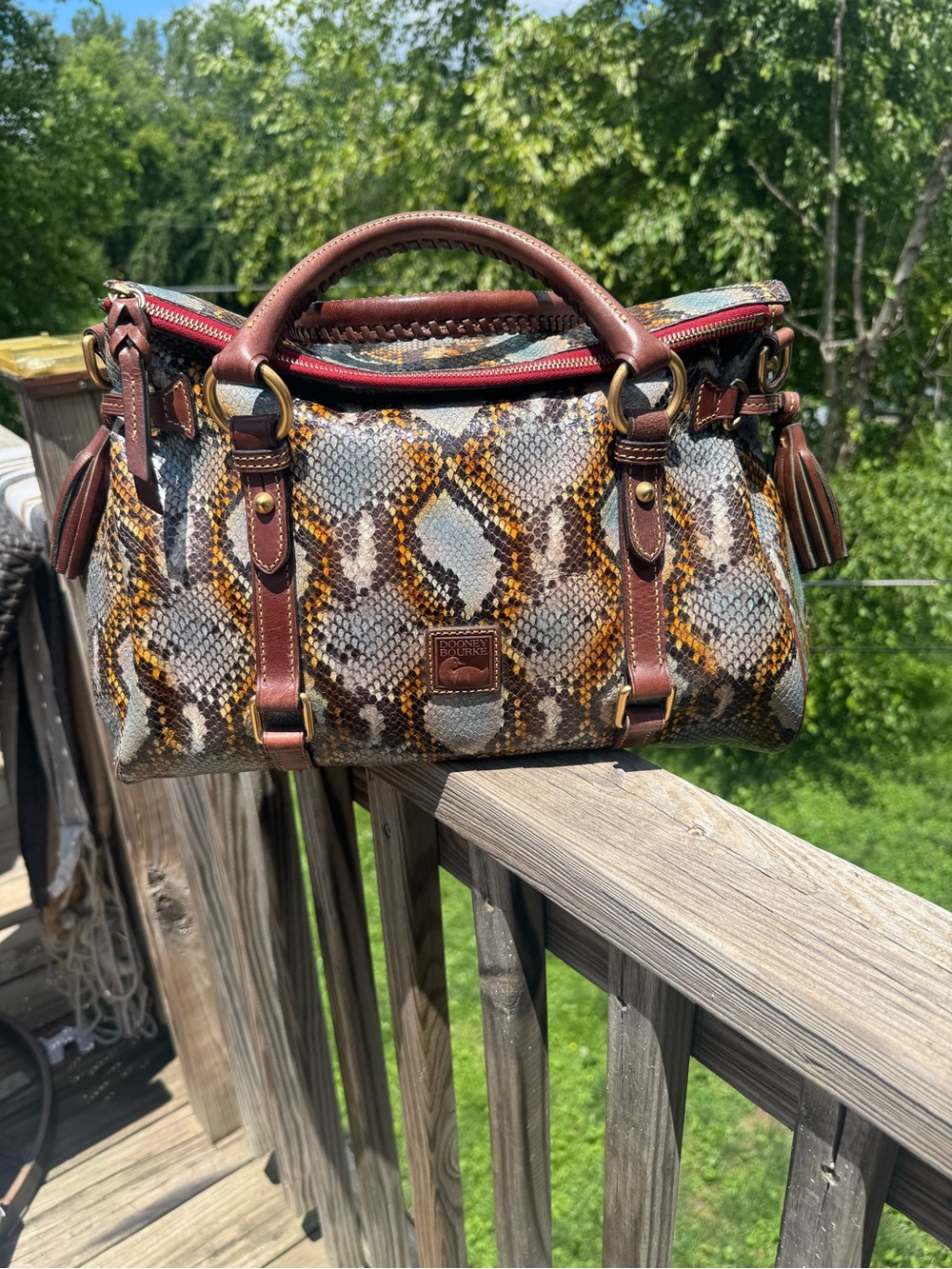 Dooney & Bourke Python Florentine Satchel